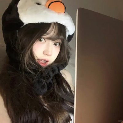 木府风云